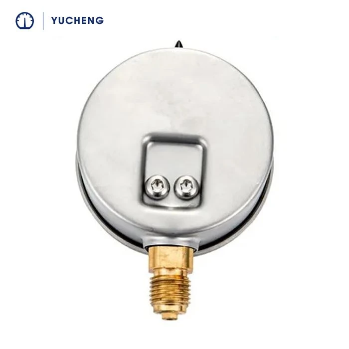 lower mount pressure gauge back